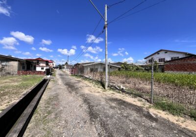 20250126_165914707_iOS