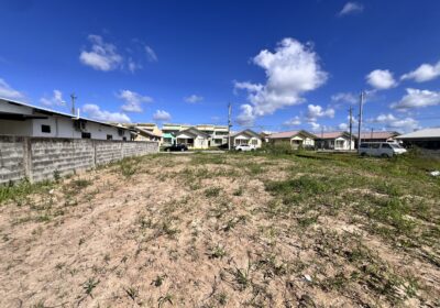 20250126_185504247_iOS