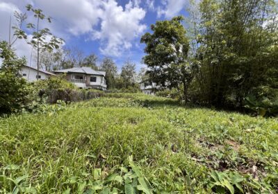 20250330_160856769_iOS