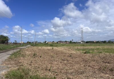 20250422_132304457_iOS