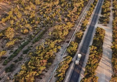 Backlink-Background-contetn